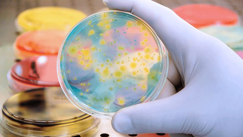 生物类似药CDMO开发总费用：揭秘成本构成与影响因素