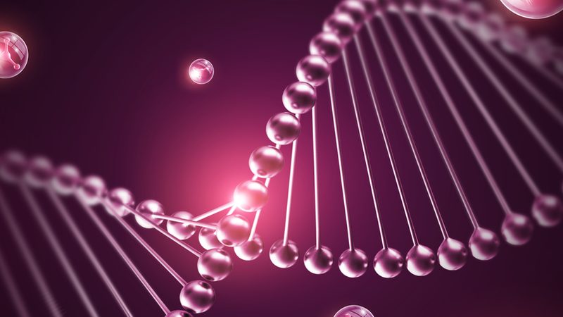 山东生物科技有限公司