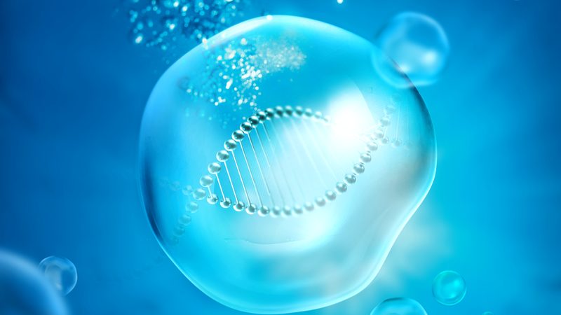 OEM生物科技公司如何选择？揭秘生物制药外包的关键要素**