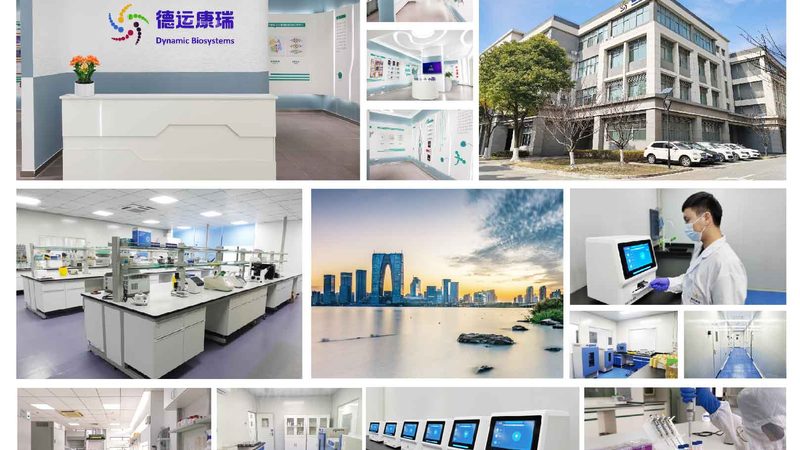 CHO细胞培养基使用，这些关键步骤不可忽视**