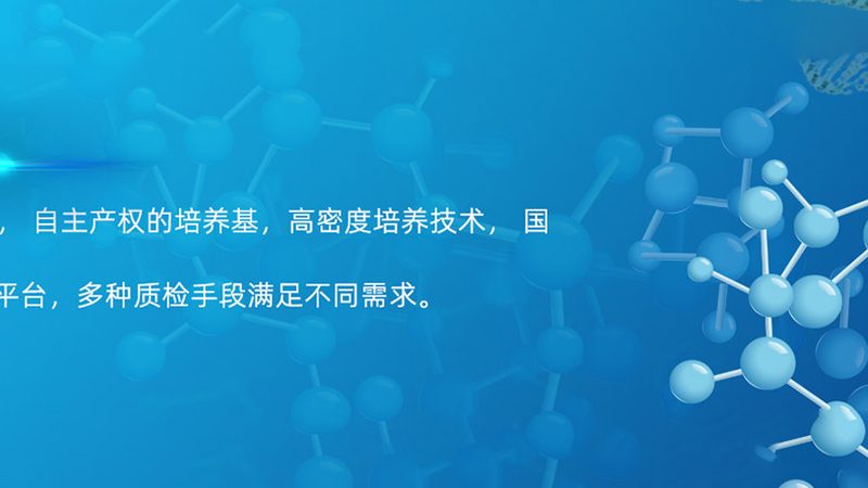 抗体检测试剂盒：揭秘背后的技术密码**