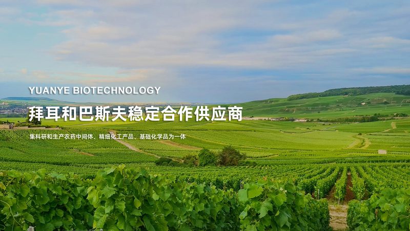 分子生物学试剂批发，如何规避选购误区？**