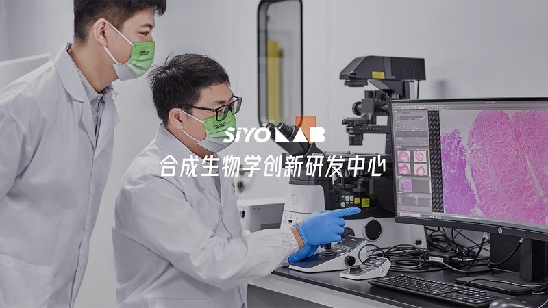 医药生物技术服务外包：揭秘价格背后的考量因素