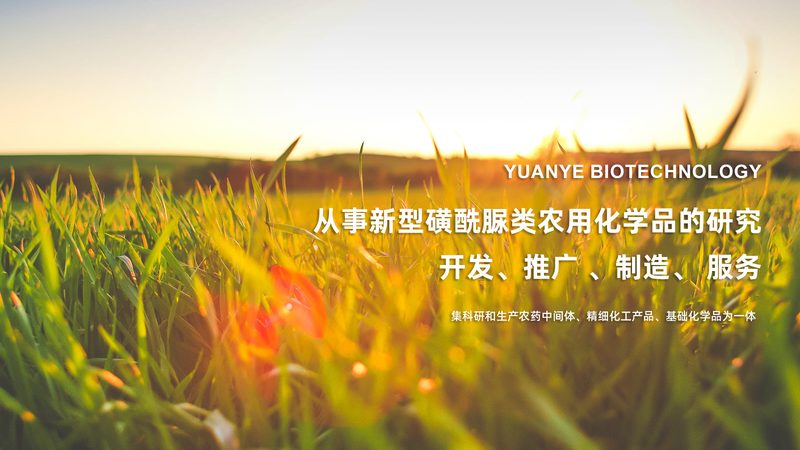 生物医药园区招商政策：助力产业腾飞的关键要素**