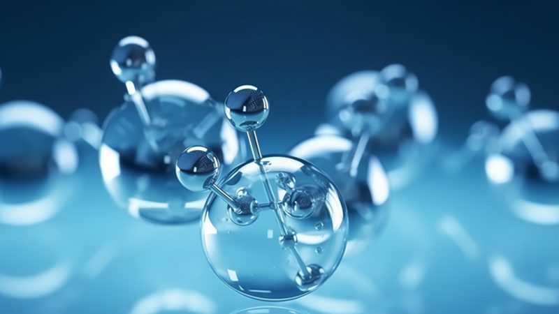 上海CDMO临床前研究：揭秘药物研发的关键一步