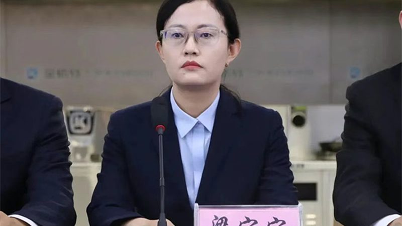 CDMO服务流程：揭秘药物研发的“加速器