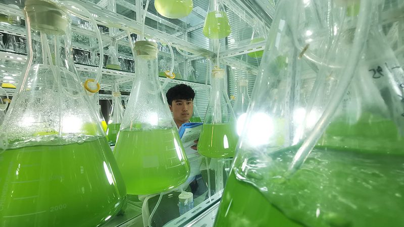 逆转录酶：揭秘其关键作用与应用场景**